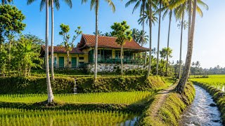 God's Invaluable Blessing‼️A Beautiful Village, a Haven of Springs Amidst the Stunning Nature of ...
