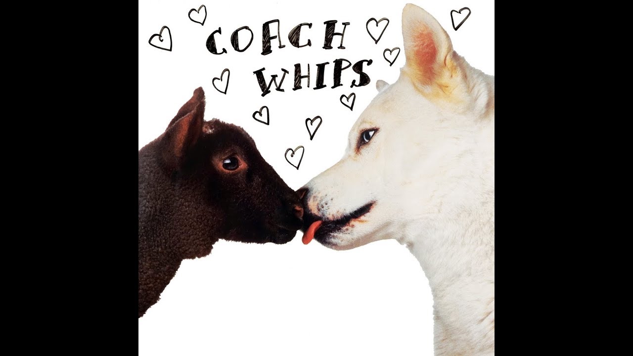 Coachwhips - Bangers VS Fuckers (Full Album, VINYL RIP)