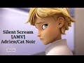[AMV] Adrien/Cat Noir | Silent Scream