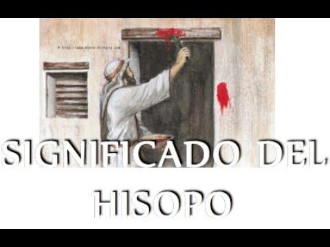 Video: Hisopo