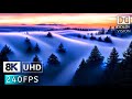 Groundbreaking Dolby Vision 8K HDR 240fps 🌠 [8K Video ULTRA HD]