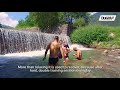 Tour Stories: down to the river...