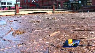 Baltimore water wheel collects record amount of trash