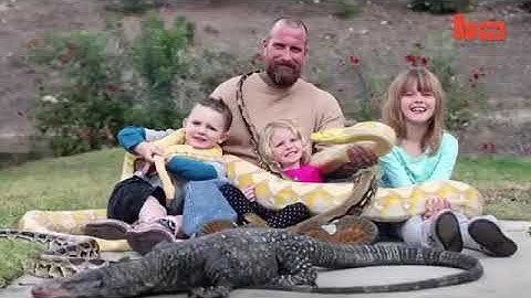 Man Selecting Cobra For Snake Show