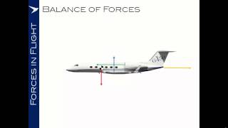 UPRT 9: Balance of Forces