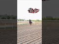 Horse racing #HorseRace#HorseRacing #Dangerous Race #HorseLovers #Racing #ViralVideo#Trending