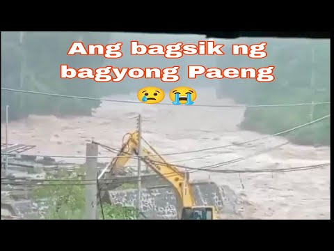 ANG BAGSIK NG