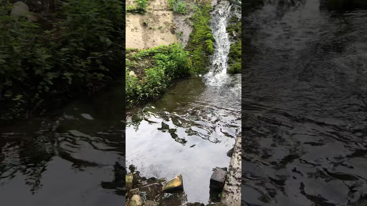 Самурский лес в дагестане карта