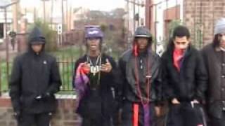 Badbreed Bs Up - Shadow Kid