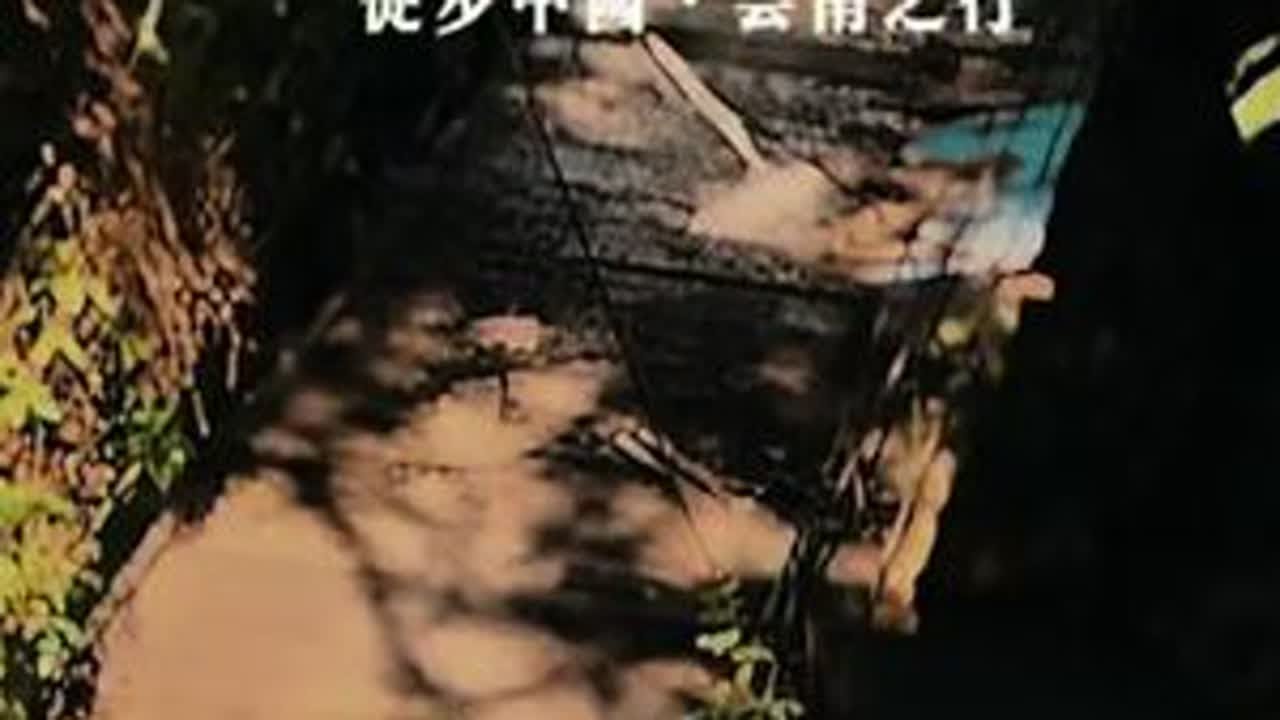 第268日，「顺流而下」· 清晨大雾虫鸣朝露梦中醒，雾重天明路人稀疏伴我行。