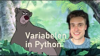 Variabelen in Python