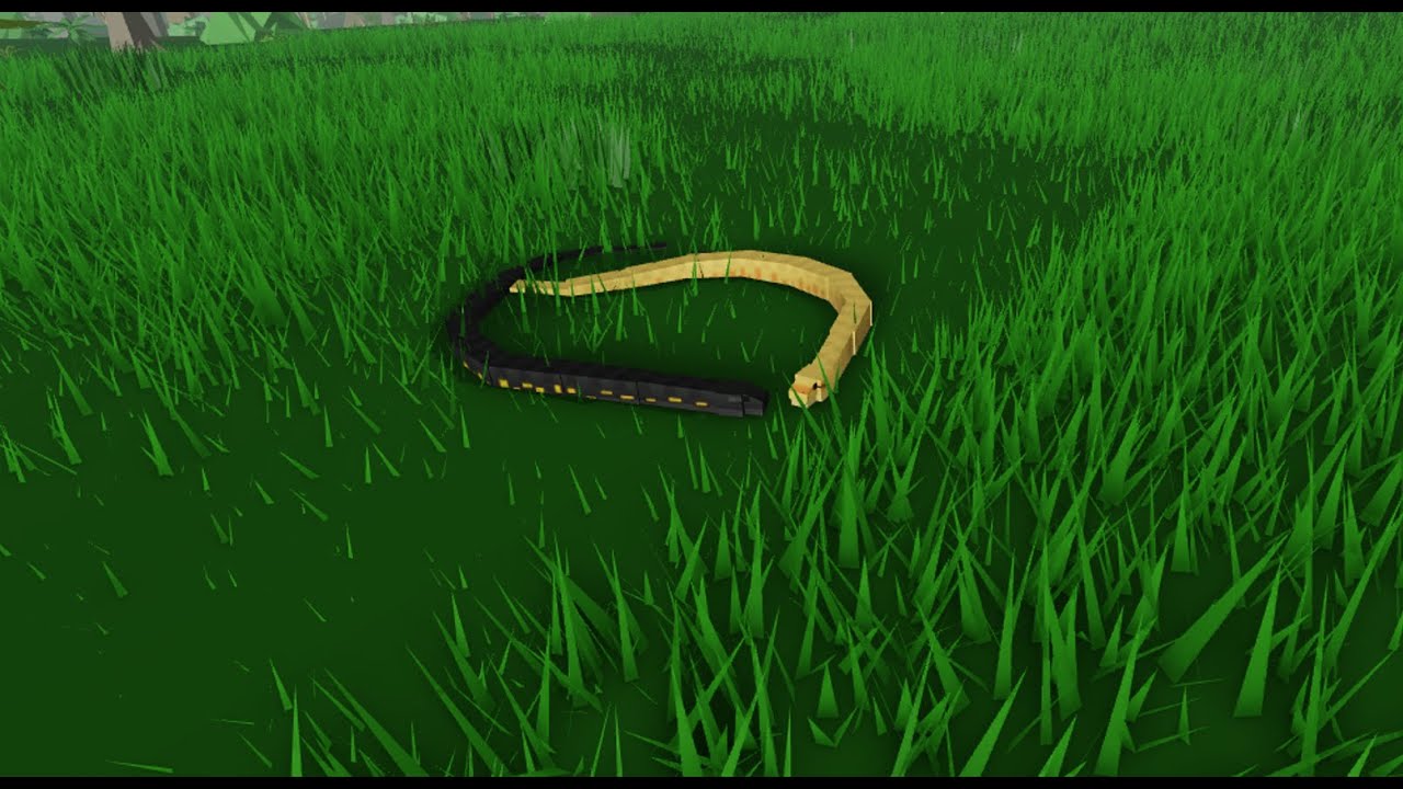 Amazon Ascension, Killing Bcs With Anaconda Part 3