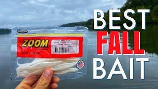 Fluke Fishing For Fall B