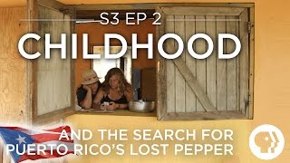 Original Fare - Childhood (And the Search for Puerto Rico's Lost Pepper) | Original Fare | PBS Food