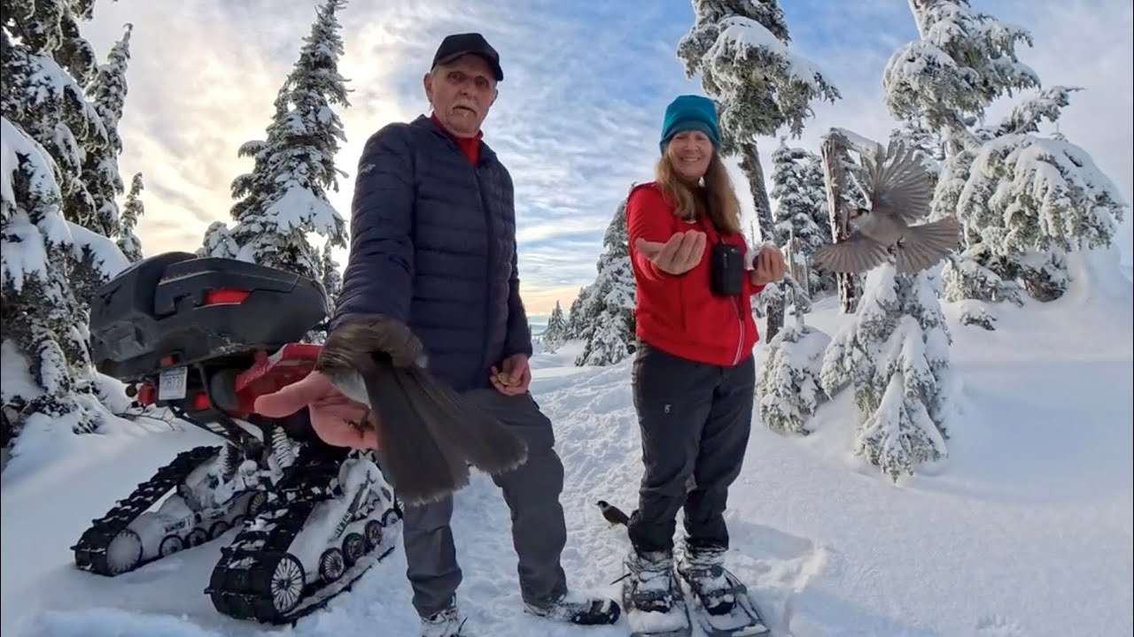 Sentinel Peak - shorty 😀 4K