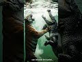 Survival Rule of Nature #nature#servival#rule#travel