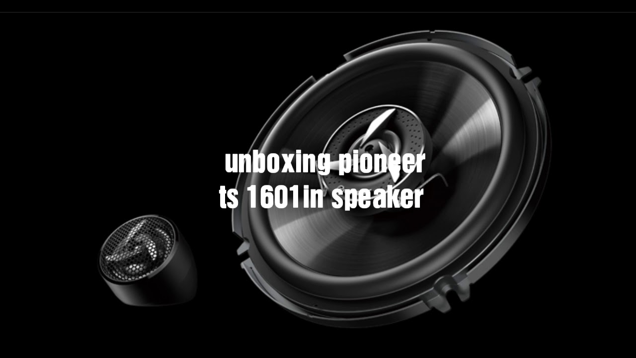 pioneer ts 1601