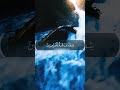 Wa Nunazzilu Minal Qurani L Dau I Shifa Islamic Dua Youtubeshorts Quranstatus Shorts Wa Nunazzilu Minal Qurani L Dau I Shifa Islamic Dua Youtubeshorts Quranstatus Shorts