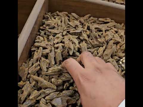 عرض خاص على الكلمنتان البنتلي منهل الطيب