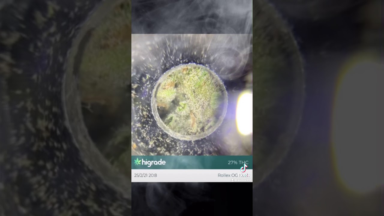 Rolex og Tom Ford pink kush 🔥🔥🔥🔥