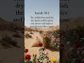 Isaiah 35:1 Bible Verse #bibleproject #biblestudy #bibleverse #jesuslovesyou