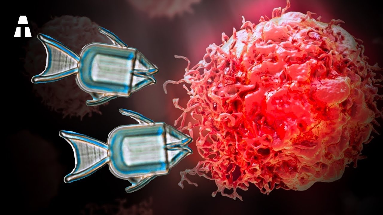 癌を殺す革新的な発明！ YouTube