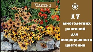 ❀ 17 многолетних растений, которые помогут сохранить непрерывное цветение в вашем саду. Часть 1