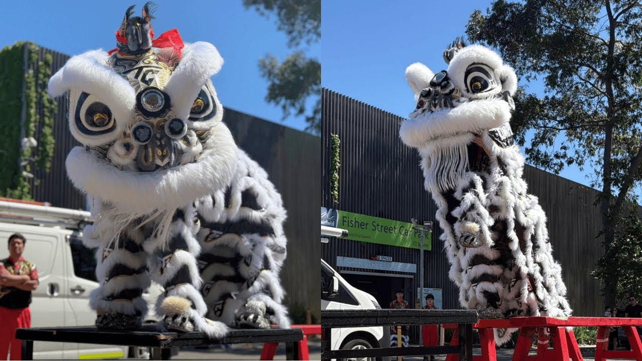 Energy Drink Routine - Compound Fitness 1st Anniversary (Sydney Yun Yee Tong)