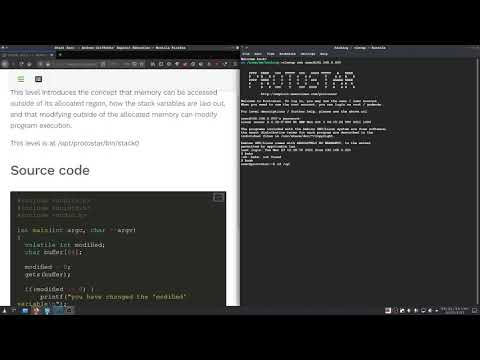 Protostar Stack[0]