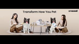 Quick, Effective Pet Grooming Tips from Oneisall
