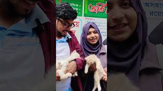বিড়ালের বাচ্চা কিনুন কম দামে #cat #cat_market_bd #cat_market_bd #funny #catcat @CAT-MARKET-BD