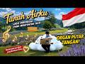 Orang Jepang Memainkan “Tanah Airku” di Taman Lavender Jepang 🇯🇵❤️🇮🇩