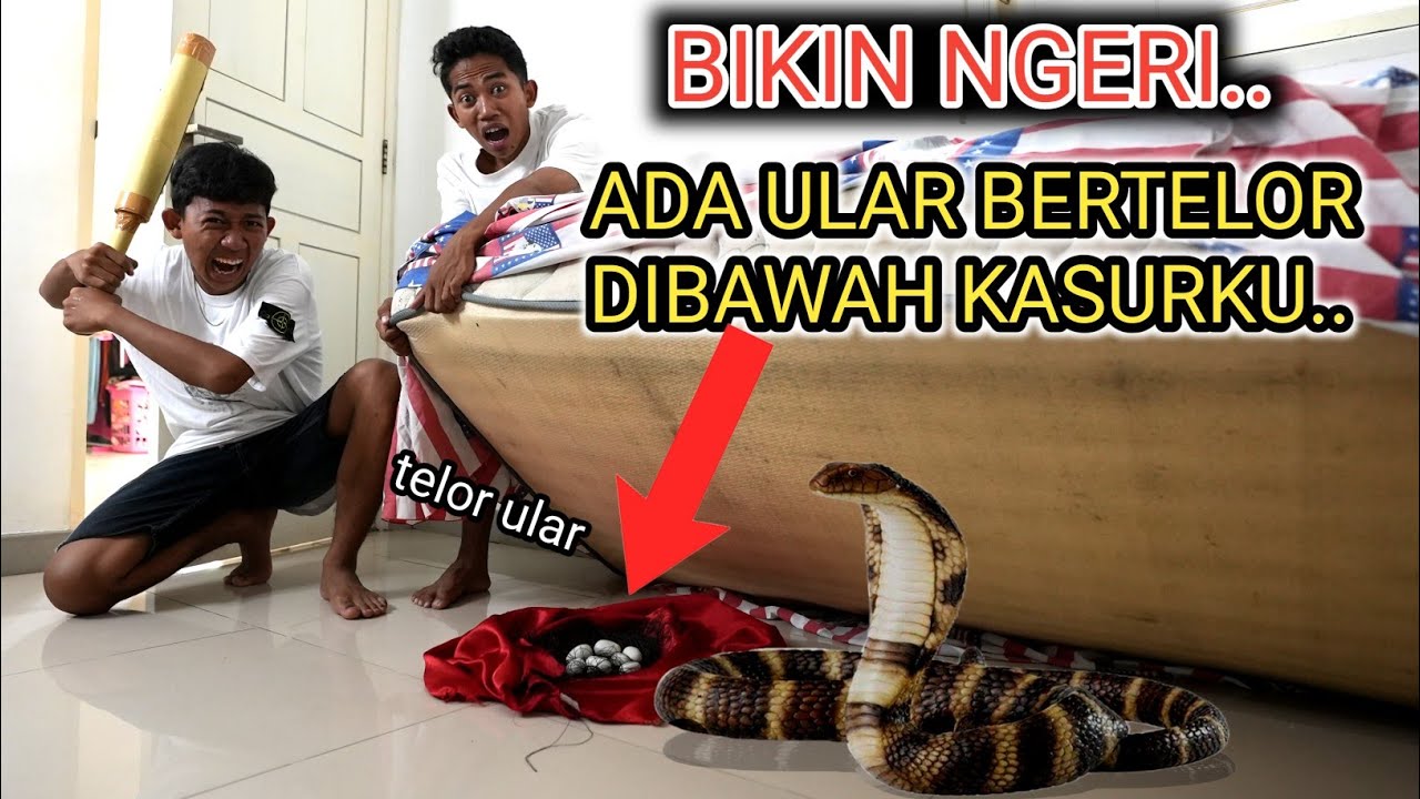 YA AMPUN ADA UL4R YANG BERSARANG DIKASURNYA ARIK SAMPE BERTELUR😱?? | Mikael Family