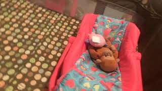 Baby monkey Coco’s night routine 🐵🐵