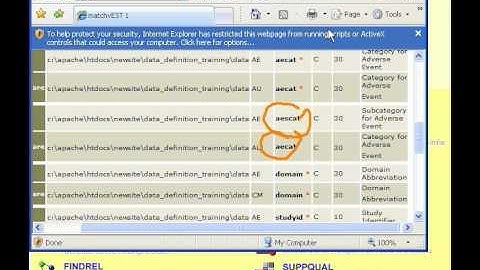 CDISC Builder Tutorial: Match Similar Variable Names and Labels