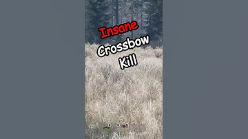 Insane Crossbow Shot… #dayz #gaming #streamer #dayzexpansion #memes #funny #shorts