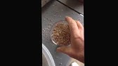 Napa 8822 Floor Dry For Cactus Potting Mix Youtube