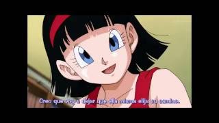 Videl y Pan - Yo Te Esperaba
