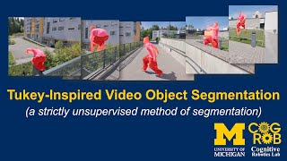 WACV 2019: Tukey-Inspired Video Object Segmentation