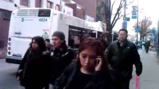 2011 New Flyer Xcelsior XD40 on the Q27