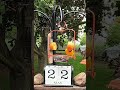 Orange Bird #birdfeeder #orioles #birdsong #feeder #nature #today #may #thursday #birds #wildbirds