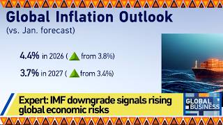 Expert: IMF downgrade signals rising global economic risks