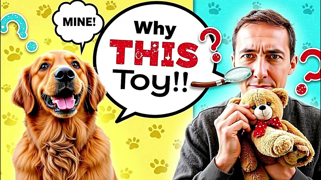 "Why Do Dogs Get Obsessed with One Toy? The Hidden Psychology!" | Pets | Dog | Dogs | Canine Podcast