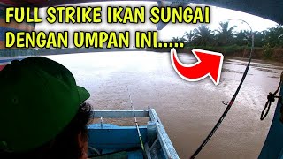Umpan Jitu !! Mancing Ikan Di sungai