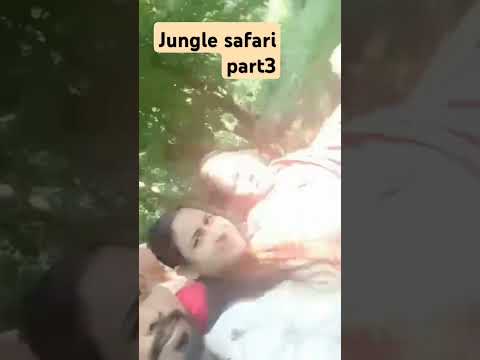 #junglesafari #trending #prayagraj #viralvideo