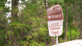 Northern MN wildfire evacuees return to properties