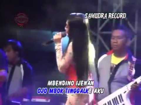 OM SONATA ~ SANDINGEN DEVIANA SAFARA