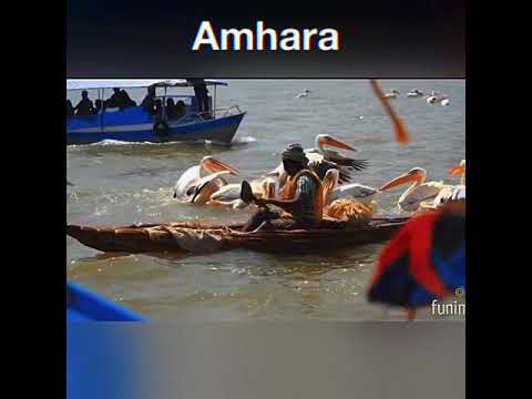 Amhara Region Beteamhara Province Gonder Gojam Shewa Amhara Land