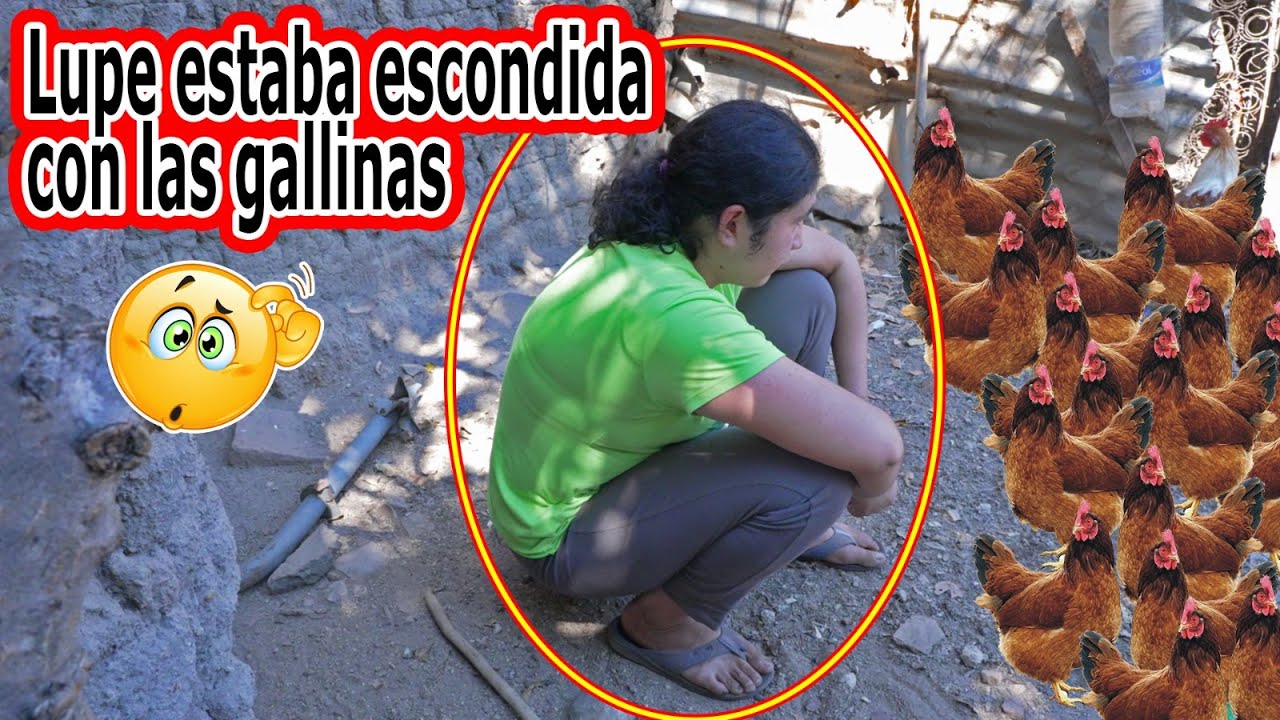 Por no halar el agua Lupe estaba escondida con las gallinas vean - Ediciones Mendoza