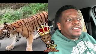 Shuler King - The Tiger Is Towing Cars!!!